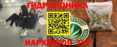 стаф Малгобек