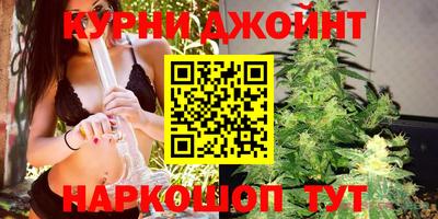 стаф Малгобек