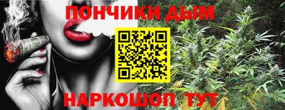 индика Мариинск