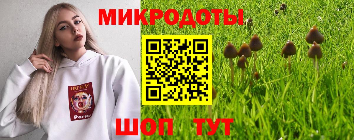 Пугачёв  Галлюциногенные грибы мицелий  Вход с VPN 